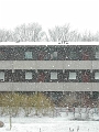 Skane (4)